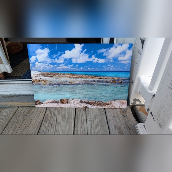 Torri's Reef Metal Picture (New) - Picture 3 of 4